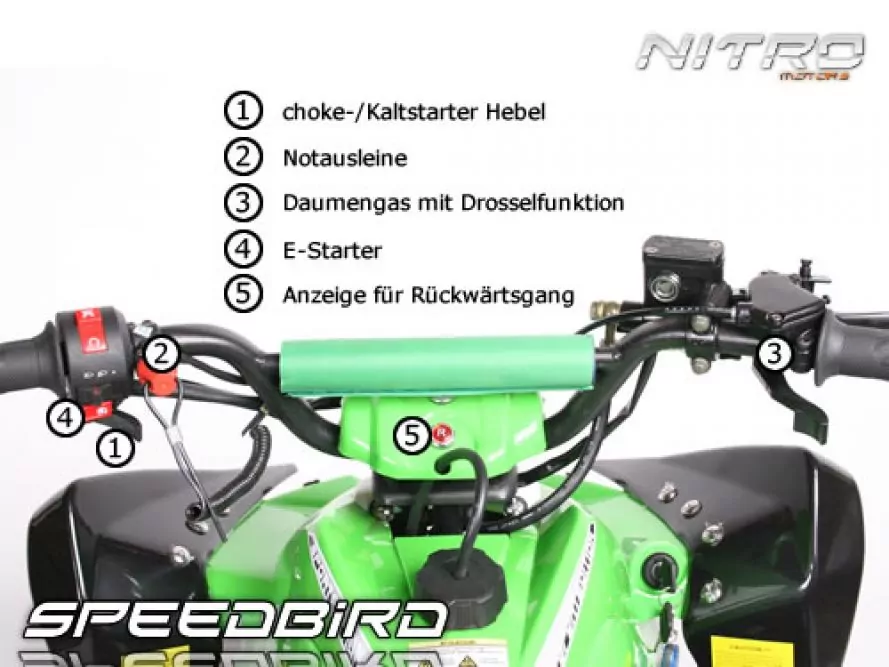 110cc SPEEDBIRD CXR 110 Deluxe MIDI QUAD Automatik + RG | 3 x Bremse 110cc SPEEDBIRD CXR 110 Deluxe MIDI QUAD Automatik + RG | 3 x Bremse