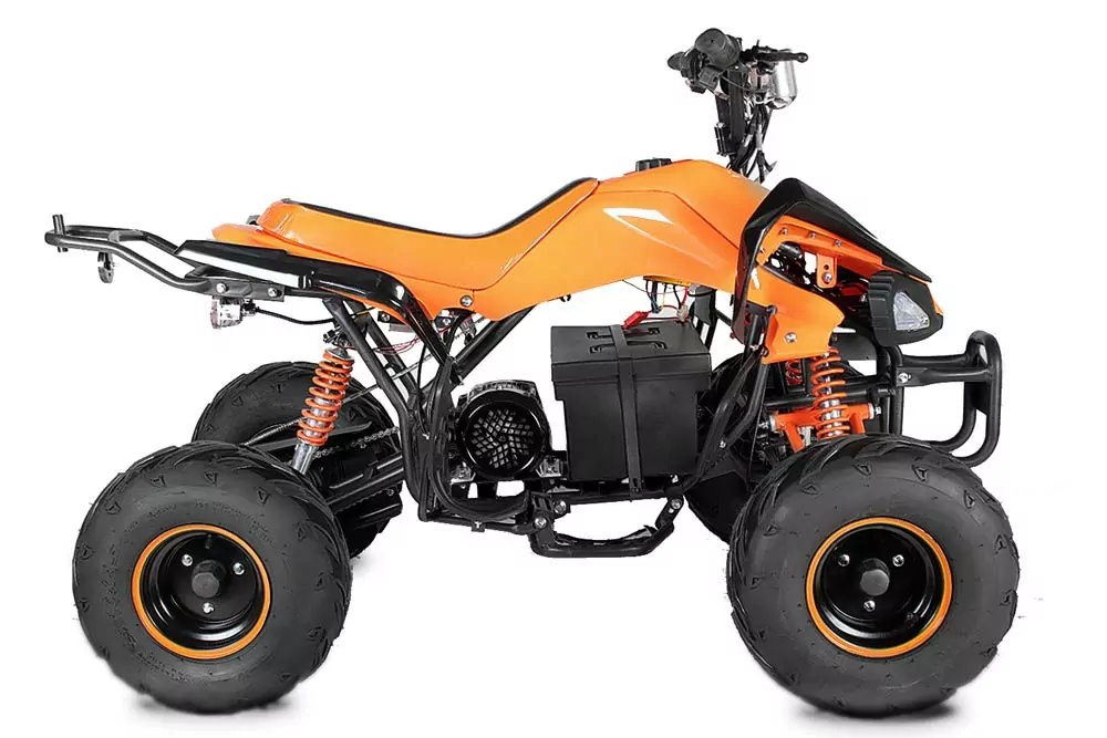 1000W Eco 48V Speedy Quad Elektroquad Midiquad Atv Kinderquad 1000W Eco 48V Speedy Quad Elektroquad Midiquad Atv Kinderquad