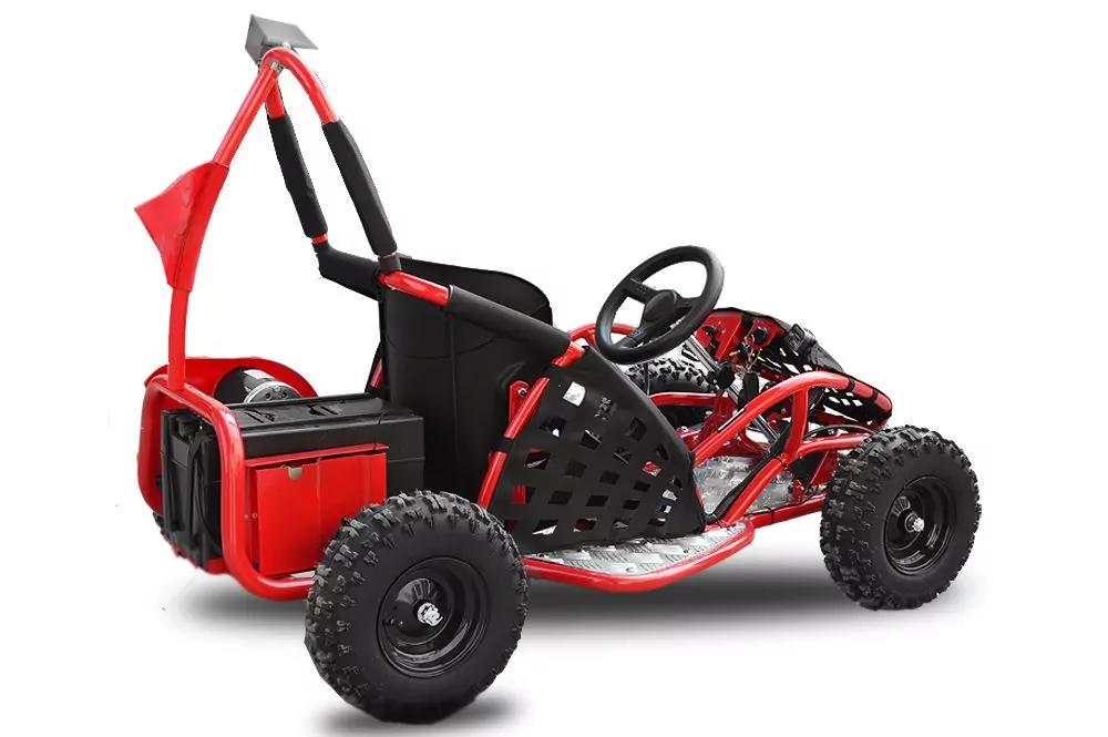 1000W Eco Buggy GoKid 6 Zoll 48V Offroad Kinderbuggy