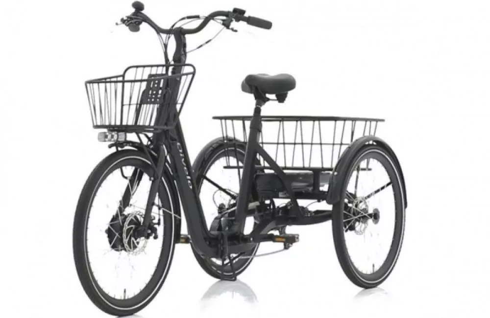 Elektrofahrrad Dreirad Qivelo Senior Fold Klapprad 250W Pedelec E-Bike 24 Zoll 7-Gang Shimano Elektrofahrrad Dreirad Qivelo Senior Fold Klapprad 250W Pedelec E-Bike 24 Zoll 7-Gang Shimano