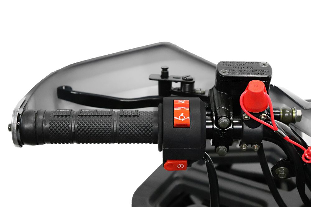 Rocco RS8-A midi Quad 125cc 8 Zoll Automatik + RG Kinderquad Atv Platin Line