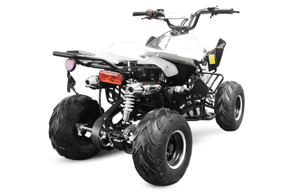 125cc Panthera QUAD ATV 7zoll Automatik + RG