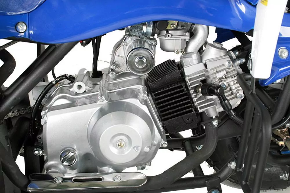 125cc Speedy 3G8 RS 3-Gang Semi-Automatik + RG 125cc Speedy 3G8 RS 3-Gang Semi-Automatik + RG
