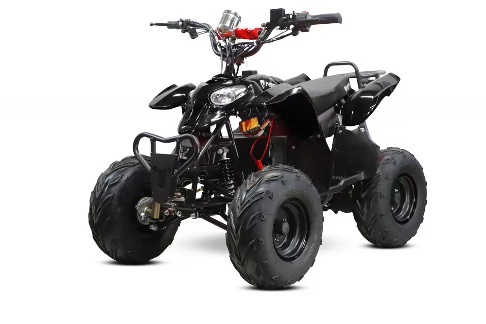 1000W Eco Razer 48V Quad Elektroquad Midiquad Atv Kinderquad