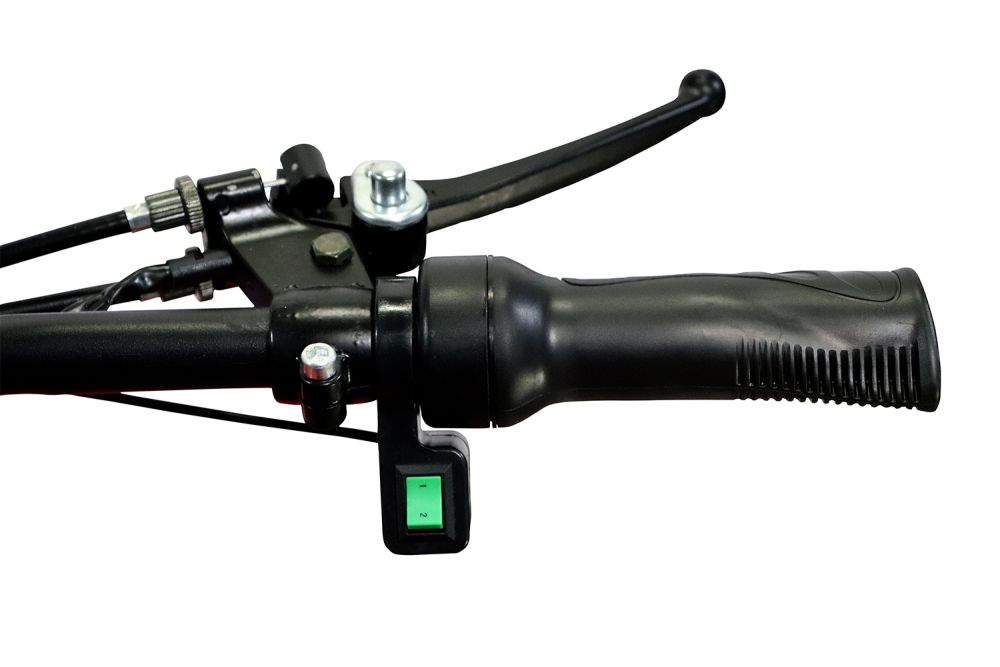 800W ECO QUAD RAZER 36V | 12A | 6" Kinderquad
