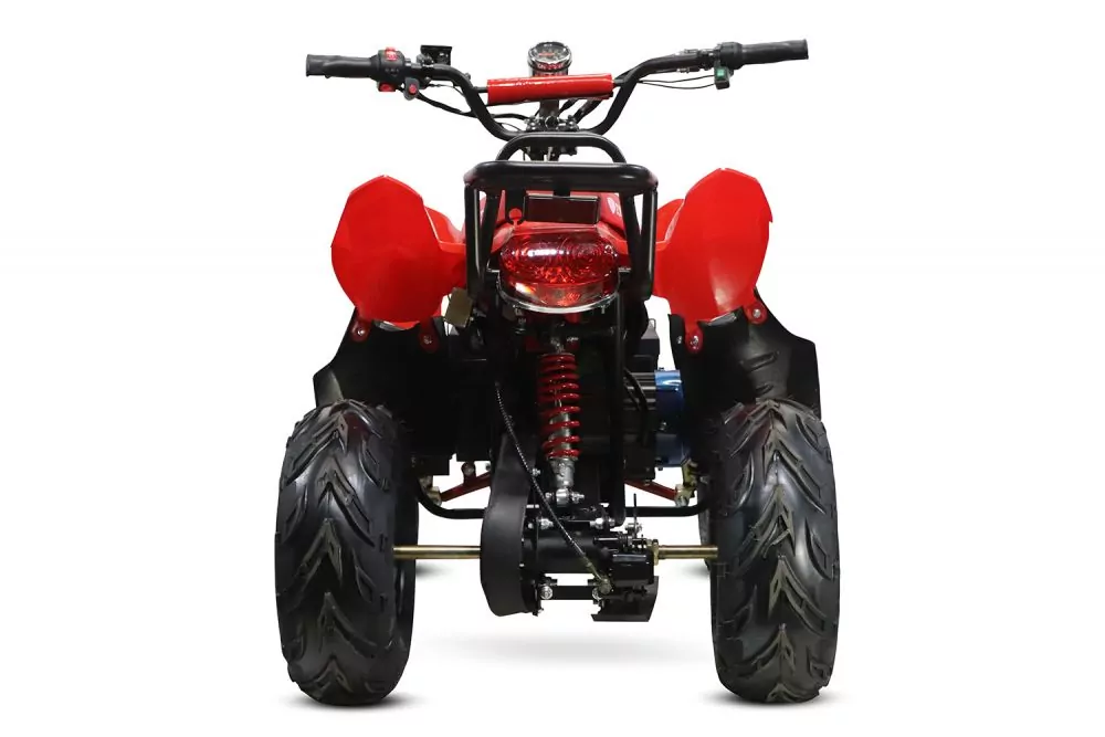 1000W Eco Razer 48V Quad Elektroquad Midiquad Atv Kinderquad