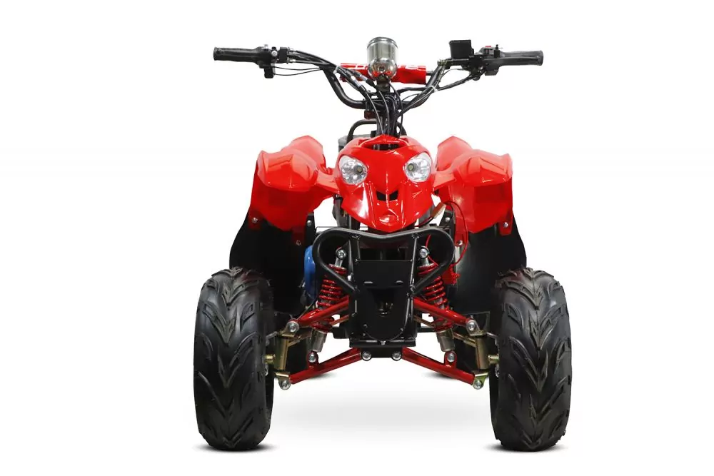 1000W Eco Razer 48V Quad Elektroquad Midiquad Atv Kinderquad