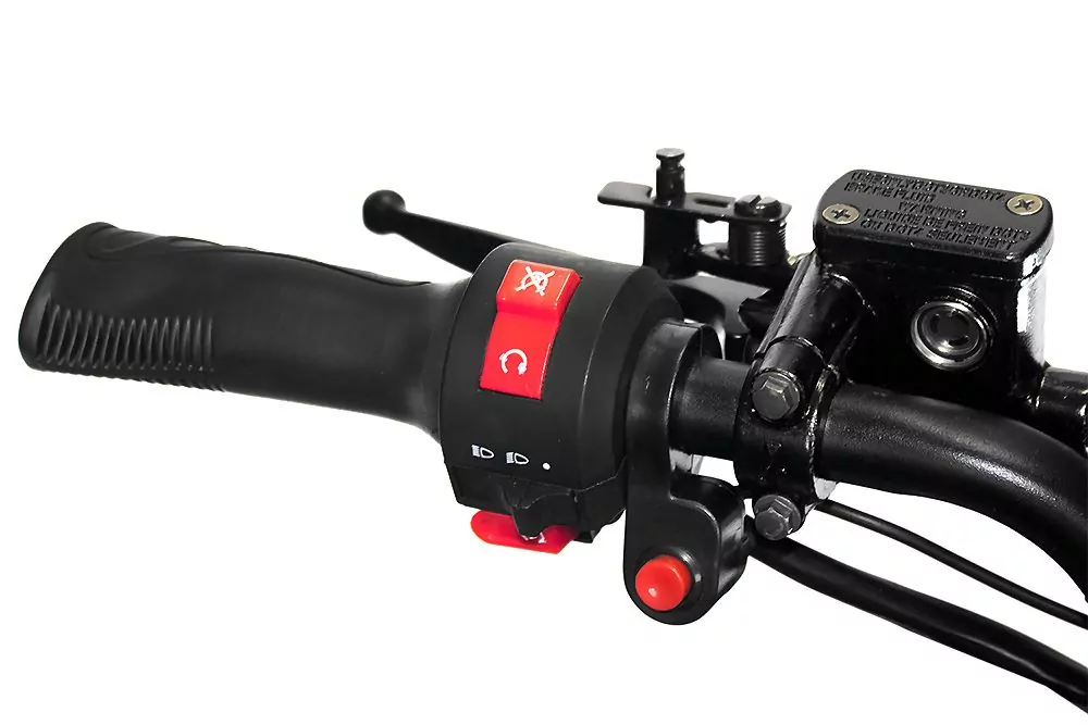 Warrior Eco midi Quad 1000W 48V Atv Kinderquad Warrior Eco midi Quad 1000W 48V Atv Kinderquad