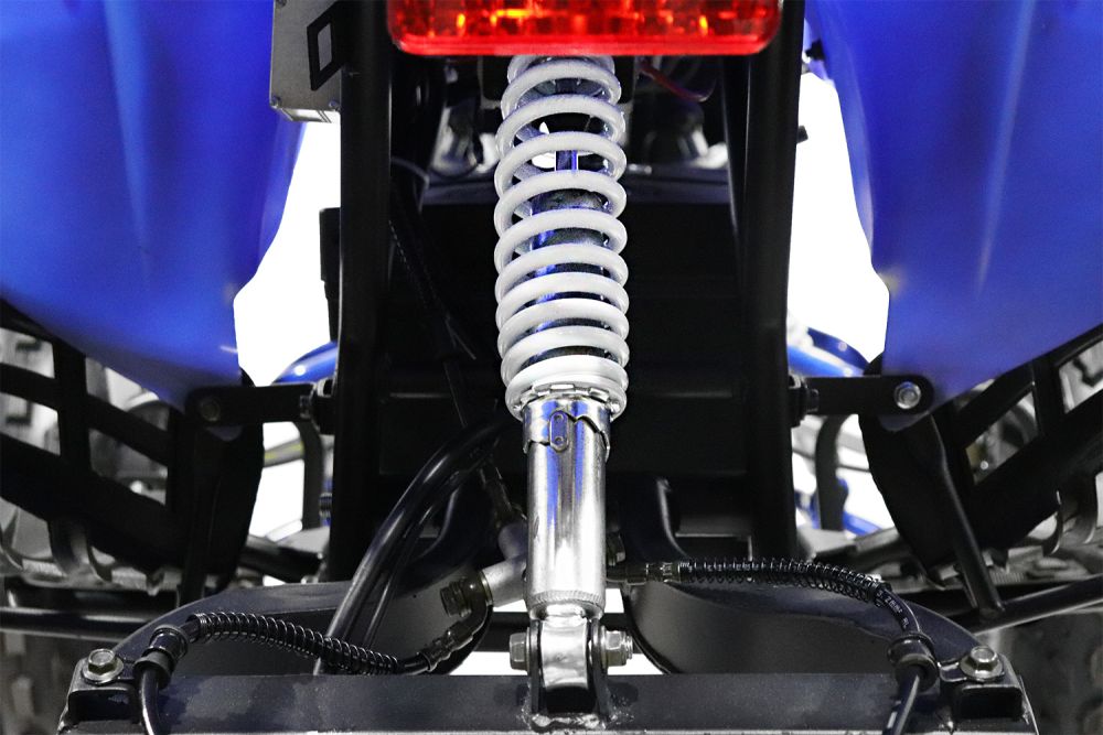 Warrior Eco Graffiti Version midi Quad 1000W S8 48V 8 Zoll Wellenantrieb mit Differential Atv Kinderquad