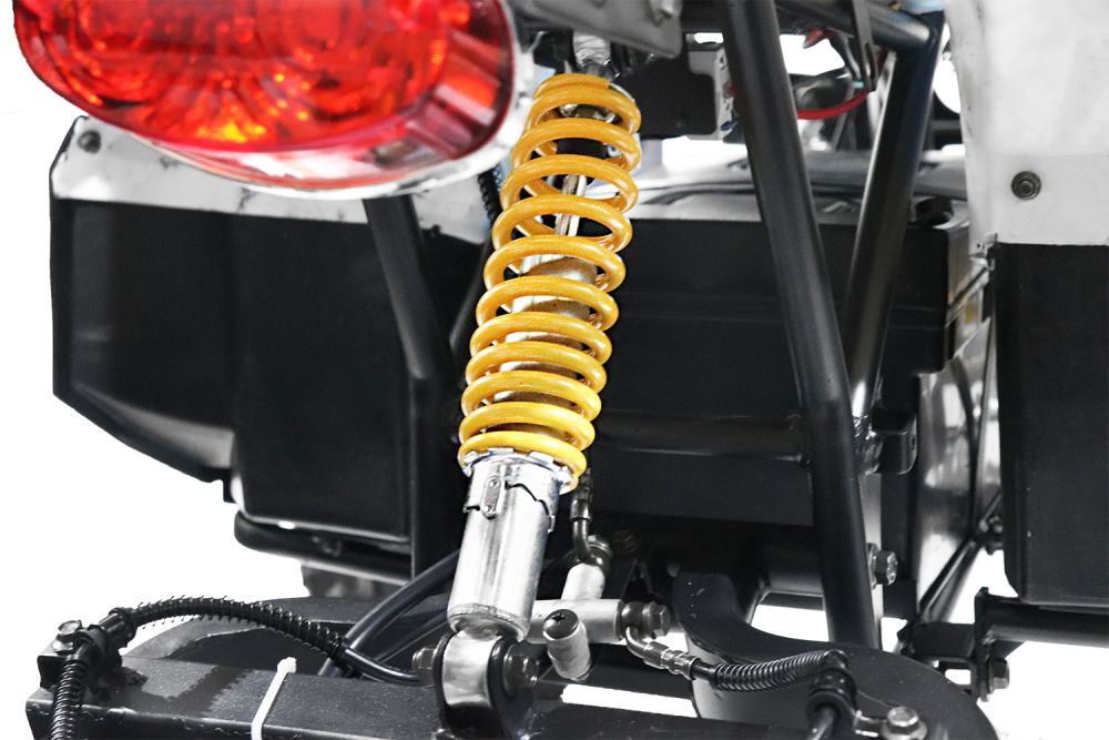 Toronto Eco Graffiti Version midi Quad 1000W S8 48V 8 Zoll Wellenantrieb mit Differential Atv