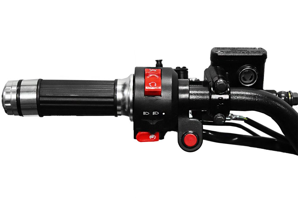 Toronto Eco Graffiti Version midi Quad 1000W S8 48V 8 Zoll Wellenantrieb mit Differential Atv