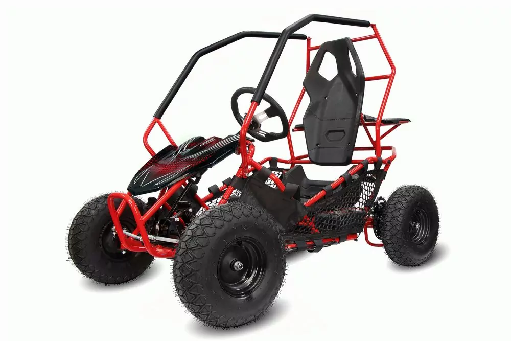 Nitro Motors Eco Gokart RACER 1000W 36V 2-Stufen Drossel Kinderbuggy Kinder-Quad