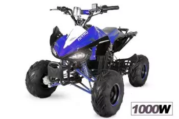 1000W Eco 48V Speedy Quad Elektroquad Midiquad Atv Kinderquad