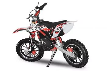 500W 36V Eco Gazelle Elektrobike Dirtbike Crossbike | Lithium Batterie