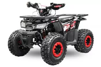 Rocco RS8-A midi Quad 125cc 8 Zoll Automatik + RG Kinderquad Atv Platin Line