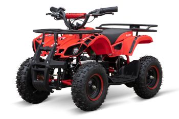 NITRO Motors Torino Basic Eco mini Quad 1000W 48V 13x5-6 Zoll
