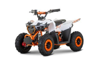 NITRO MOTORS 1000W 36V Eco Kinder Quad HULKI Sport 6”